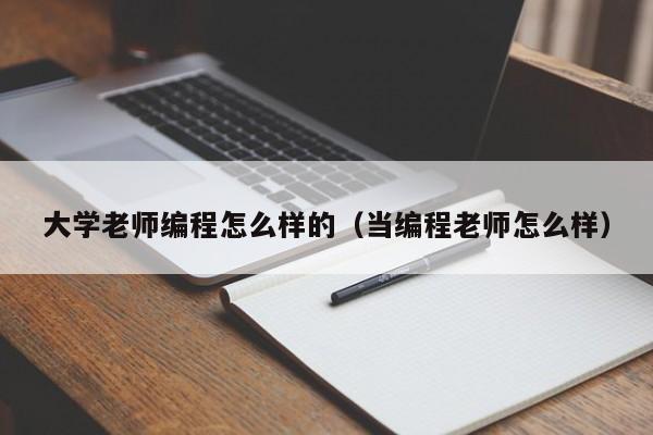大学老师编程怎么样的（当编程老师怎么样）