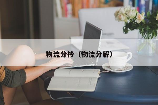 物流分拎（物流分解）