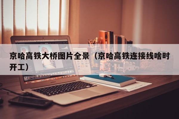 京哈高铁大桥图片全景（京哈高铁连接线啥时开工）