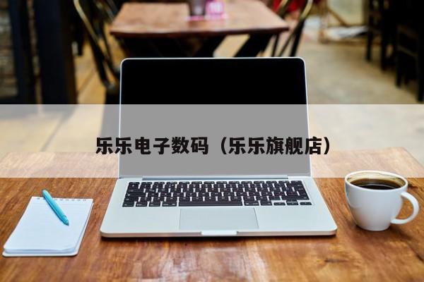 乐乐电子数码（乐乐旗舰店）