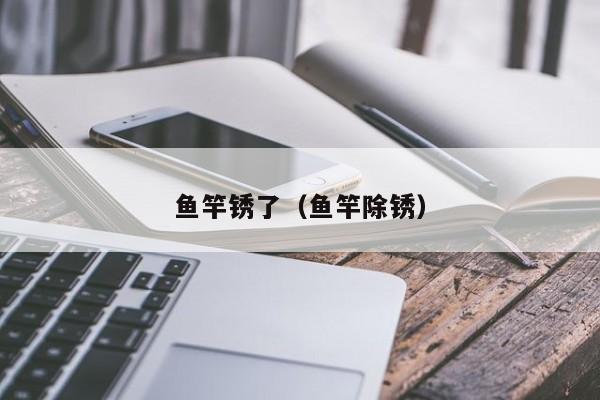 鱼竿锈了（鱼竿除锈）