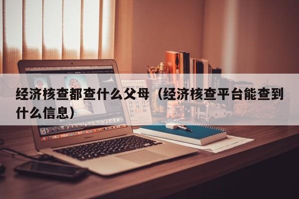 经济核查都查什么父母（经济核查平台能查到什么信息）