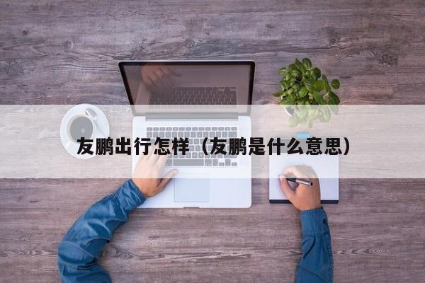 友鹏出行怎样（友鹏是什么意思）