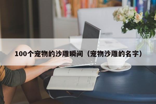 100个宠物的沙雕瞬间（宠物沙雕的名字）