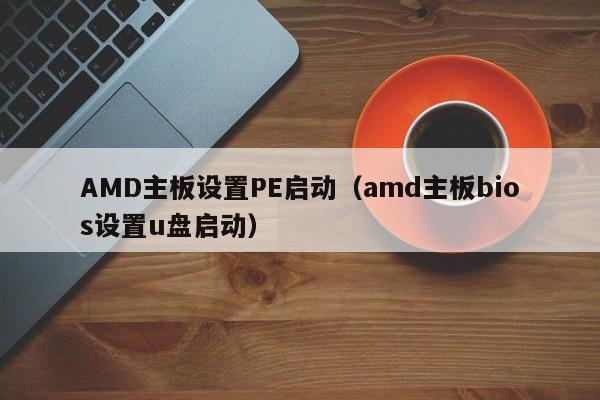 AMD主板设置PE启动（amd主板bios设置u盘启动）