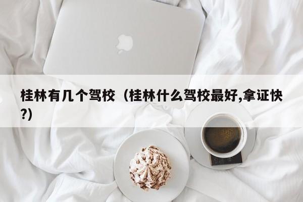 桂林有几个驾校（桂林什么驾校最好,拿证快?）