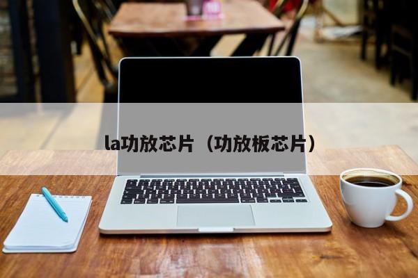 la功放芯片（功放板芯片）