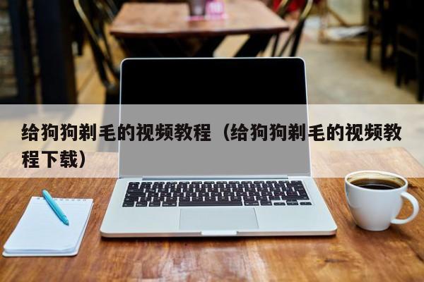 给狗狗剃毛的视频教程（给狗狗剃毛的视频教程下载）