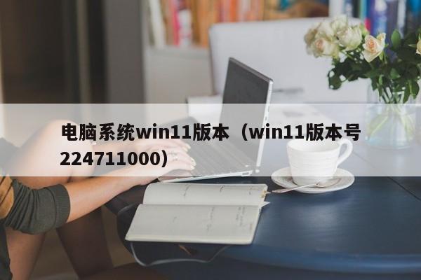 电脑系统win11版本（win11版本号224711000）