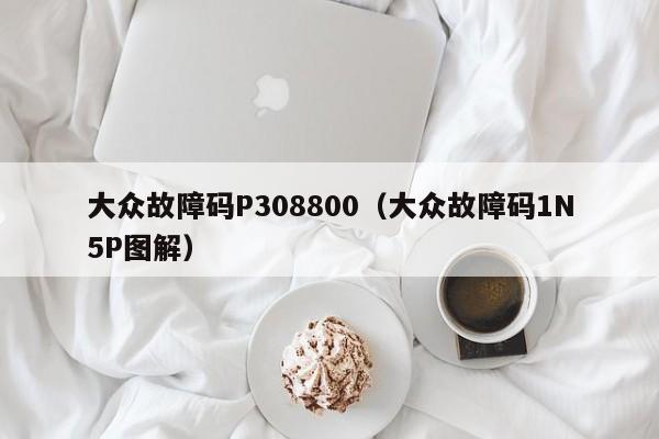 大众故障码P308800（大众故障码1N5P图解）