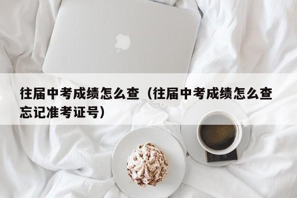 往届中考成绩怎么查（往届中考成绩怎么查 忘记准考证号）