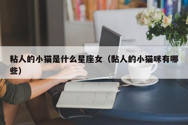 粘人的小猫是什么星座女（黏人的小猫咪有哪些）
