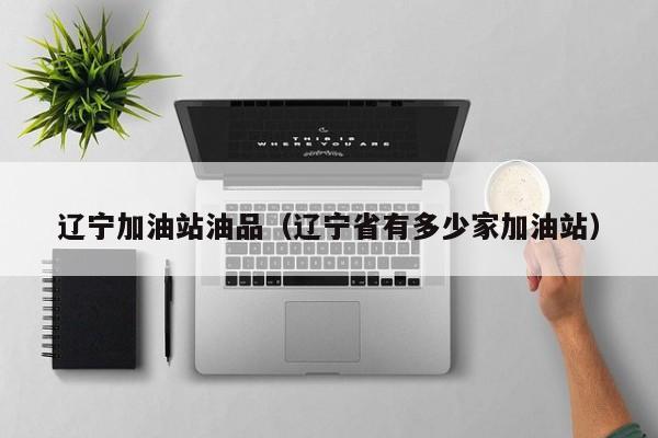 辽宁加油站油品（辽宁省有多少家加油站）