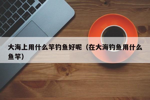 大海上用什么竿钓鱼好呢（在大海钓鱼用什么鱼竿）