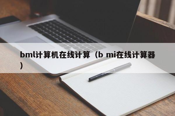 bml计算机在线计算（b mi在线计算器）