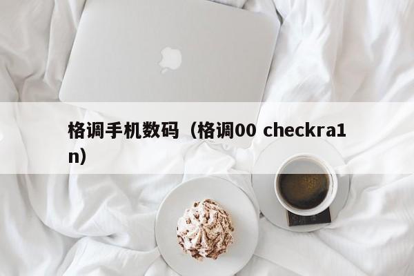 格调手机数码（格调00 checkra1n）