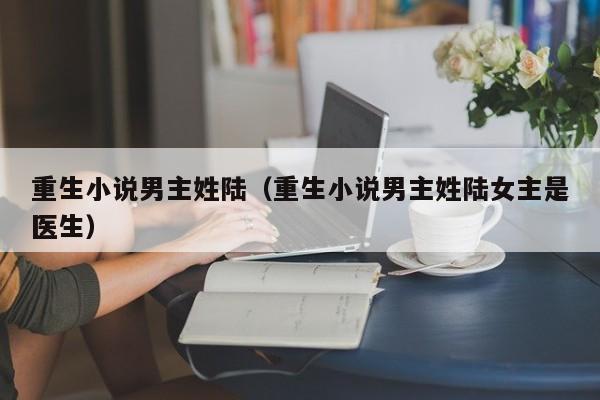 重生小说男主姓陆（重生小说男主姓陆女主是医生）