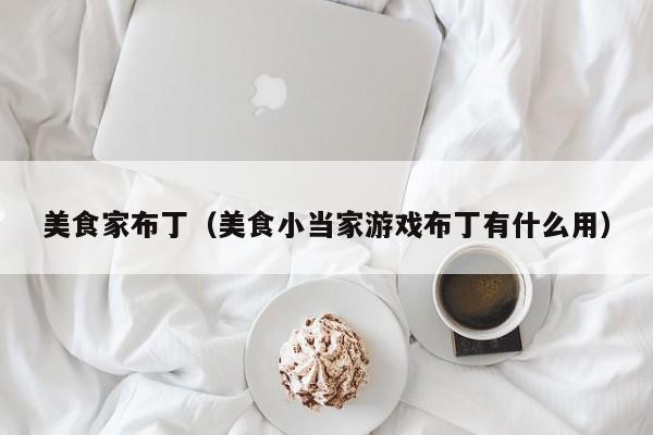 美食家布丁（美食小当家游戏布丁有什么用）
