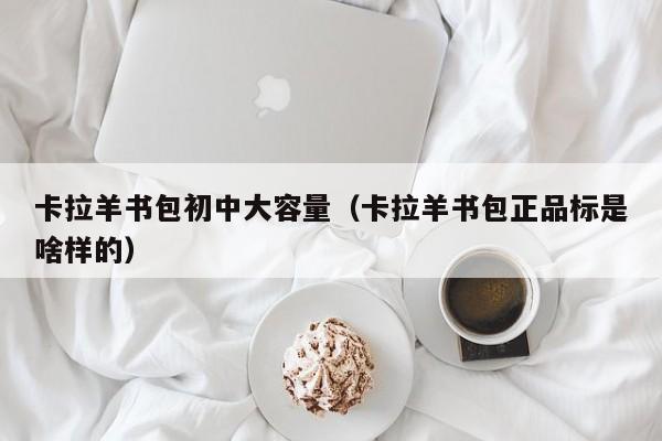 卡拉羊书包初中大容量（卡拉羊书包正品标是啥样的）
