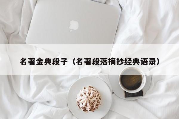 名著金典段子（名著段落摘抄经典语录）