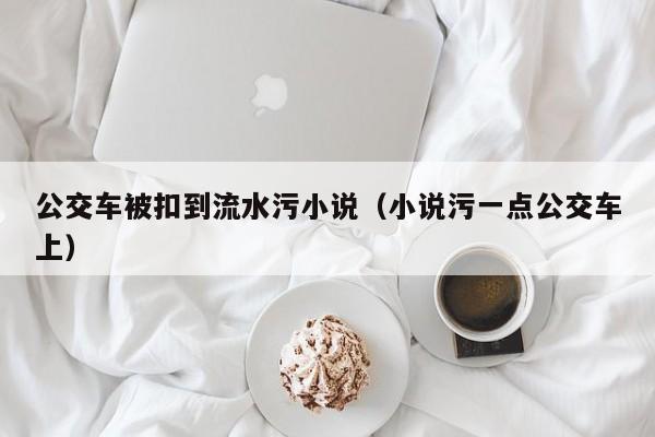公交车被扣到流水污小说（小说污一点公交车上）