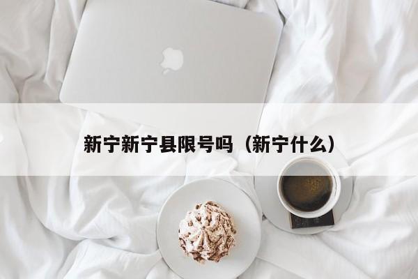 新宁新宁县限号吗（新宁什么）