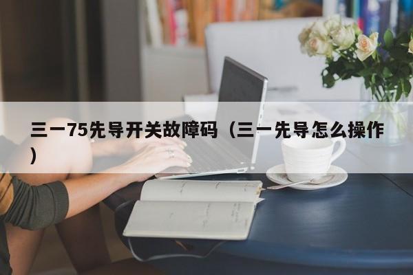 三一75先导开关故障码（三一先导怎么操作）