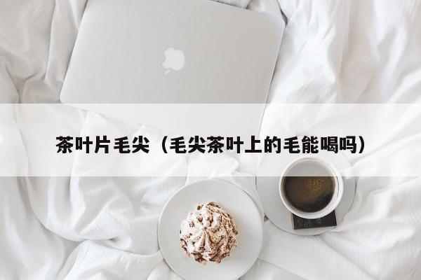 茶叶片毛尖（毛尖茶叶上的毛能喝吗）