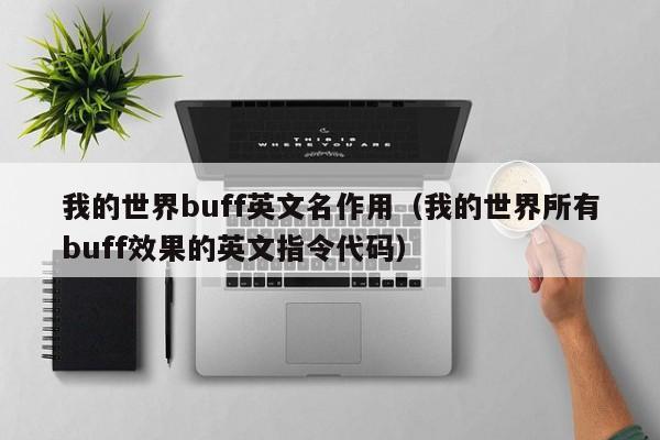 我的世界buff英文名作用（我的世界所有buff效果的英文指令代码）
