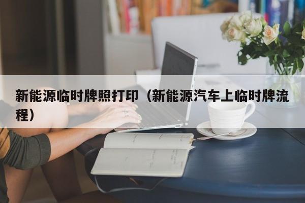 新能源临时牌照打印（新能源汽车上临时牌流程）