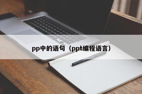 pp中的语句（ppt编程语言）