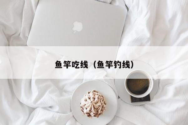 鱼竿吃线（鱼竿钓线）