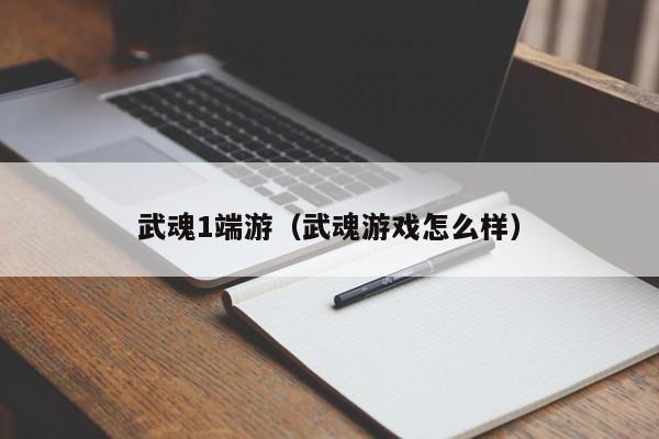 武魂1端游（武魂游戏怎么样）