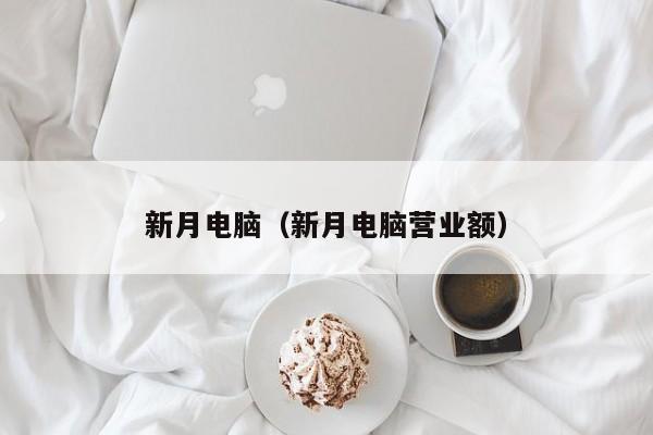 新月电脑（新月电脑营业额）