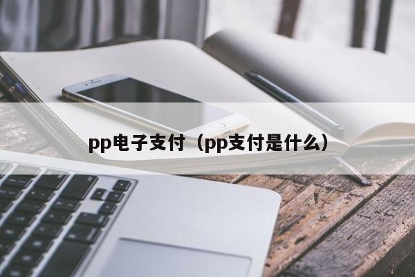 pp电子支付（pp支付是什么）