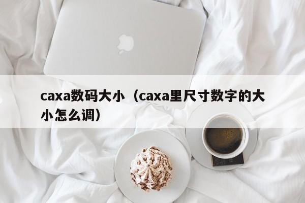 caxa数码大小（caxa里尺寸数字的大小怎么调）